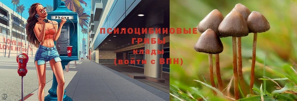 соль курить ск Богородицк