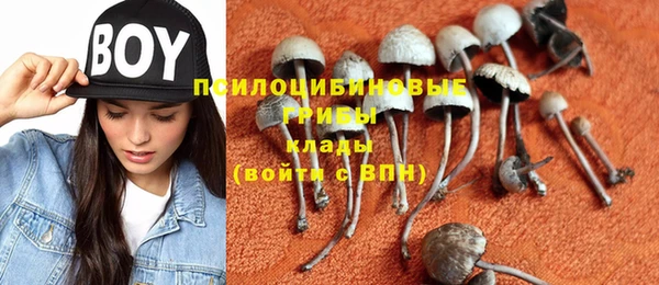 кокс Белокуриха