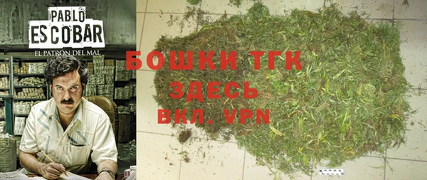 стаф Белоозёрский