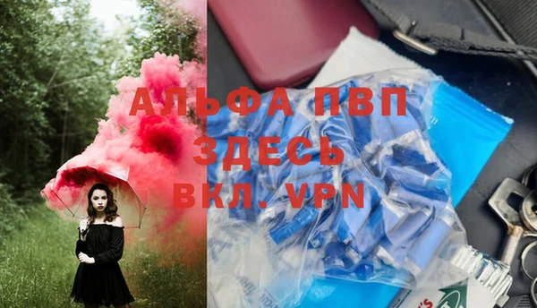 кокс Белокуриха