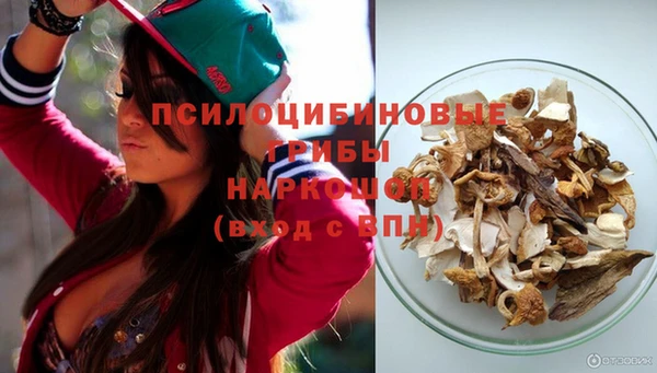 кокс Белокуриха
