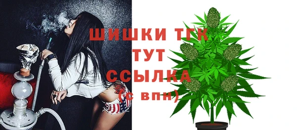 кокс Белокуриха
