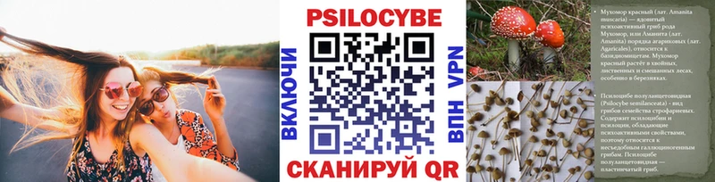 магазин    Оха  Псилоцибиновые грибы MAGIC MUSHROOMS 